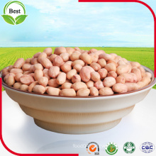 Red Skin Peanut Kernels 50/60 60/70